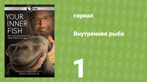 Внутренняя рыба 1 серия «Внутренняя рыба» (документальный сериал, 2014)