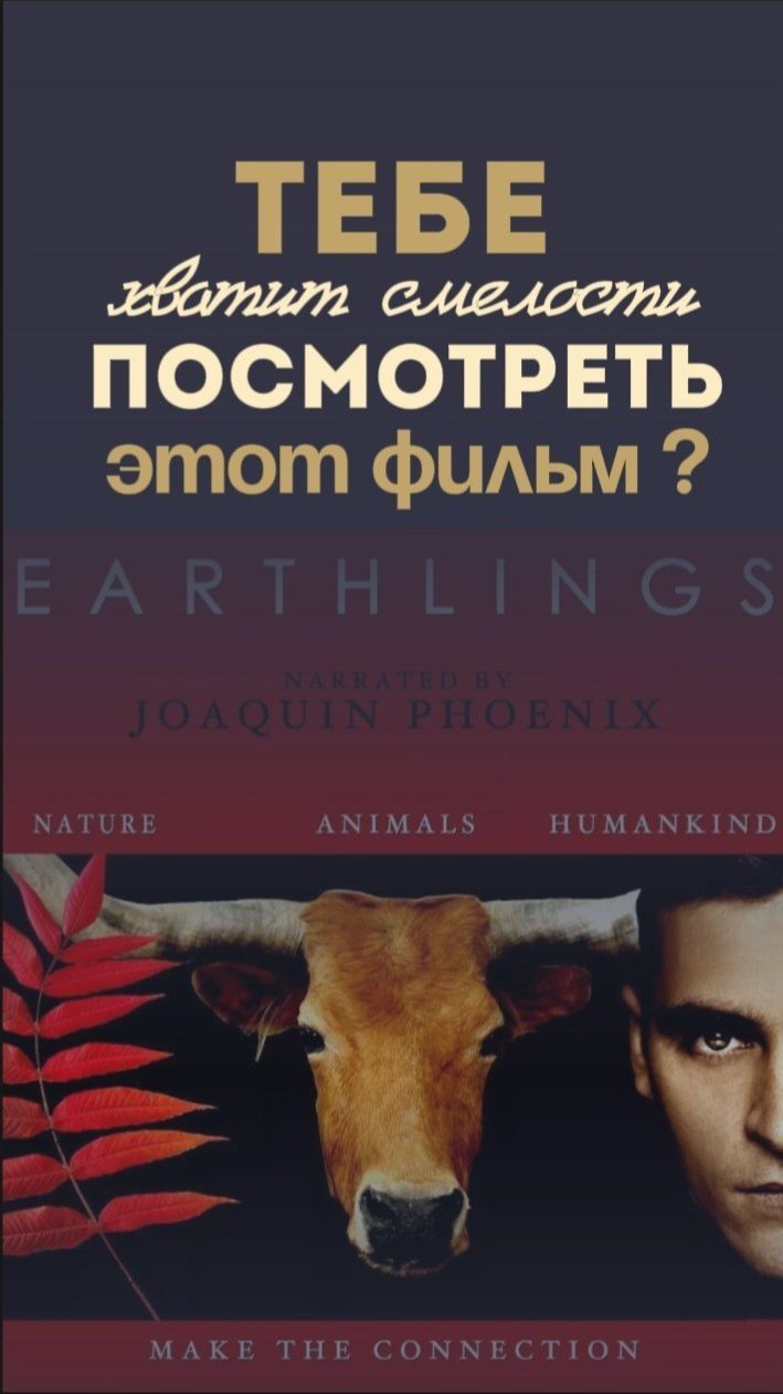 Тебе хватит смелости посмотреть этот фильм?
