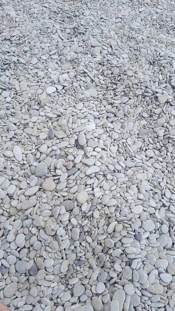 Коп на пляже