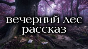 Вечерний лес жизненная история | Истории из жизни