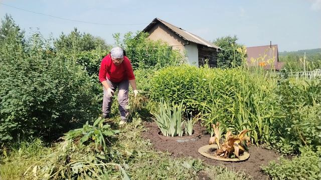 Жизнь в деревне.🏡 Избавляюсь от сорняков.