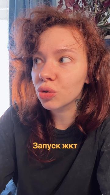Запускаем жкт