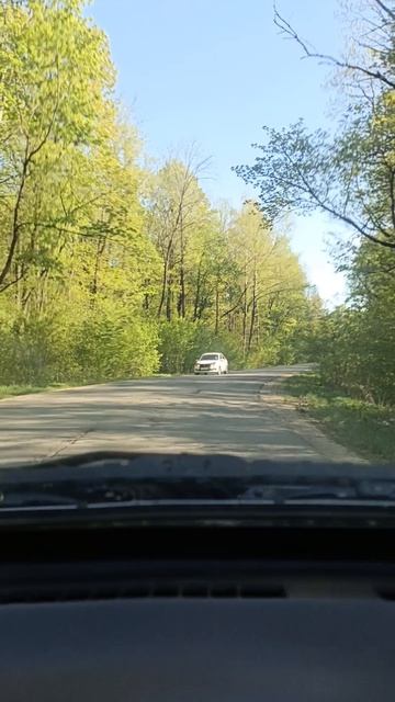 Дорога через лес