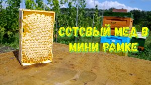 Товарный вид на максимум: сотовый ароматный мёд в мини‑рамке