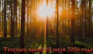 Текущее время 19 июля 2026 года