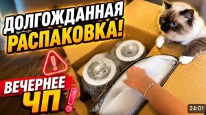 США ВЛОГ Обустраиваю новую квартиру Долгожданная распаковка