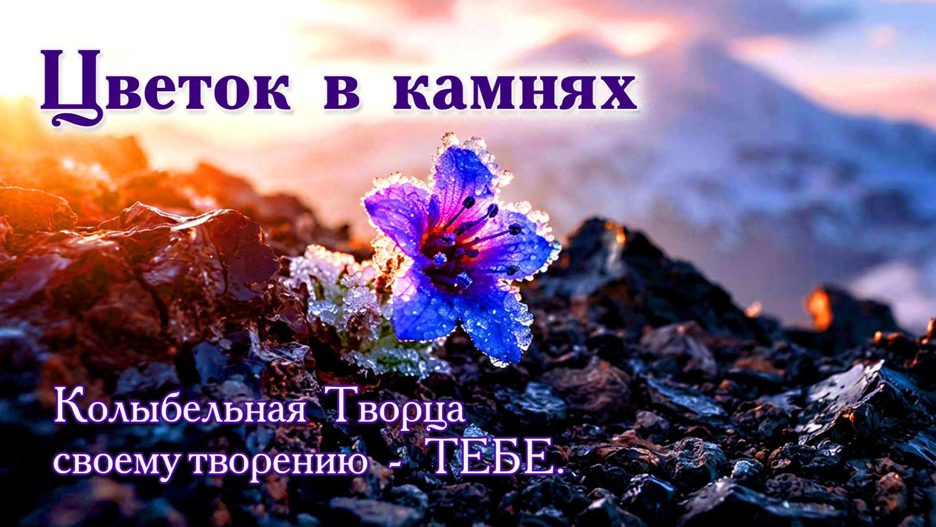 Цветок в камнях на самой кромке бытия. Колыбельная Творца своему творению - ТЕБЕ. смотреть онлайн