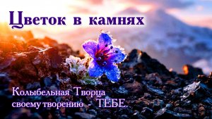 Цветок в камнях на самой кромке бытия. Колыбельная Творца своему творению - ТЕБЕ.