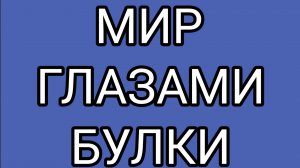 Где и кем  работает МАНЮНЯ?!