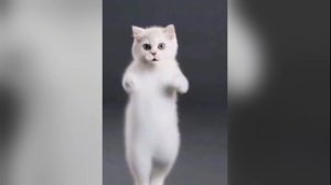 скинворкер 😍😍😍😍😍😍😍😍😍👉👈