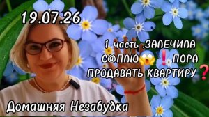 1 часть. ЗАЛЕЧИЛА С@ПЛЮ😱❗️ПОРА ПРОДАВАТЬ КВАРТИРУ❓️