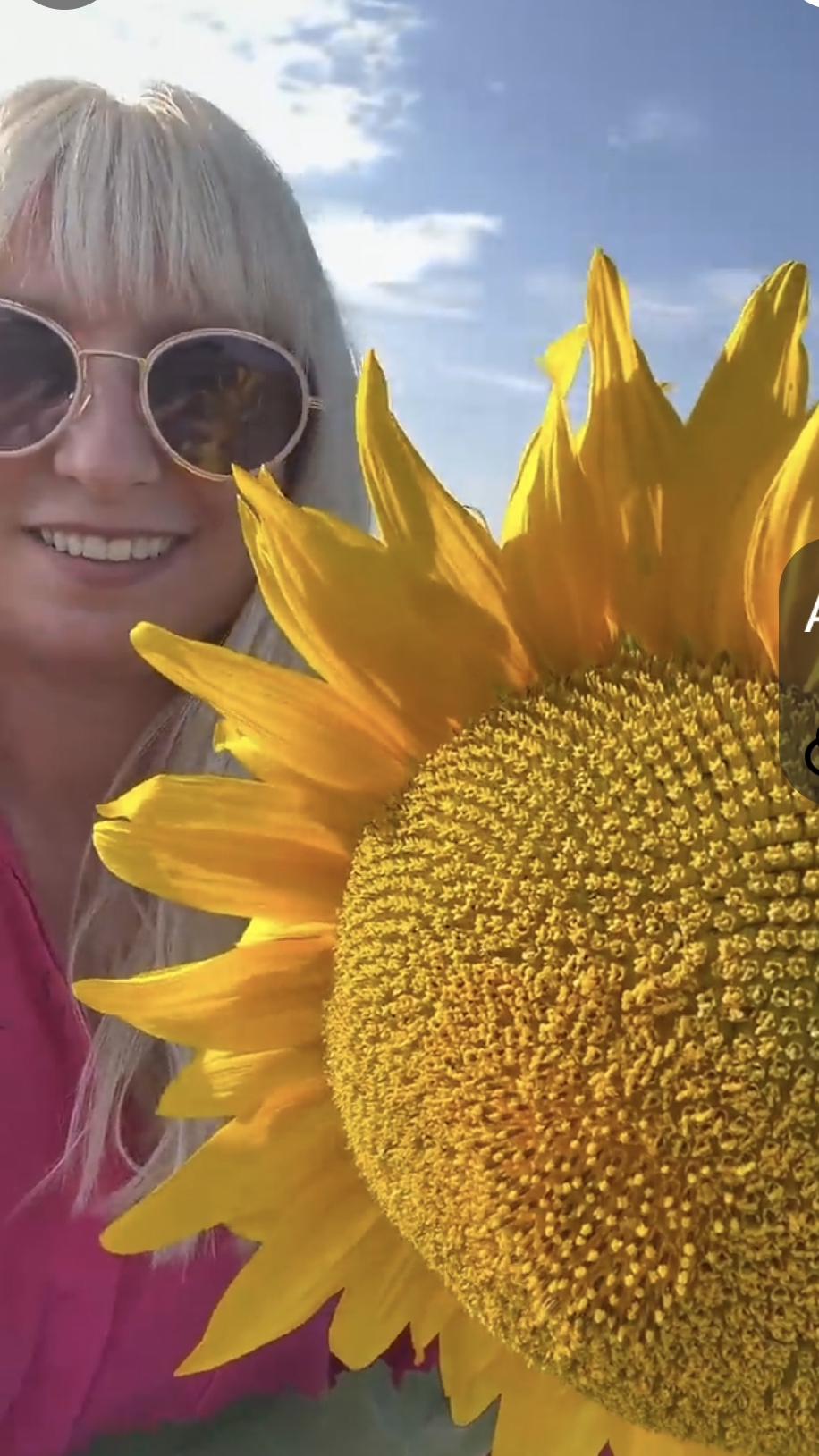 подсолнухи 🌻 Крым лето 2026 смотреть онлайн