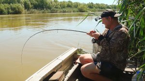 РЫБАЛКА НА СОМА И САЗАНА! УХ, ТАЩИТ! Ловля сома на червя и сазана на жмых. Ловля сазана на закидушки