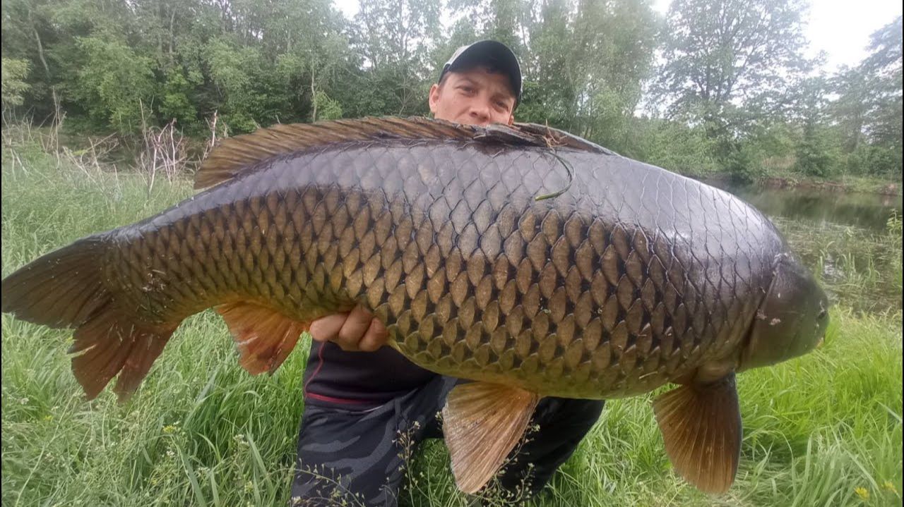 Рыболовная ловушка на 24 часа поймала монстра из пруда Только Самая Лучшая рыбалка 2026 на RUTUBE смотреть онлайн