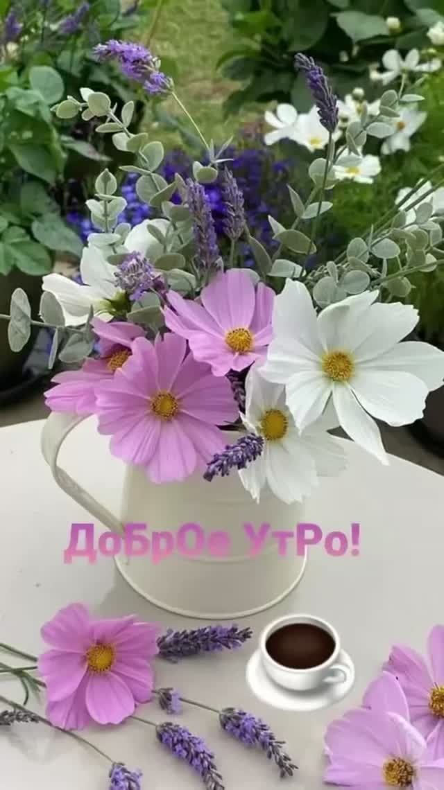 Доброе утро!🌸 смотреть онлайн