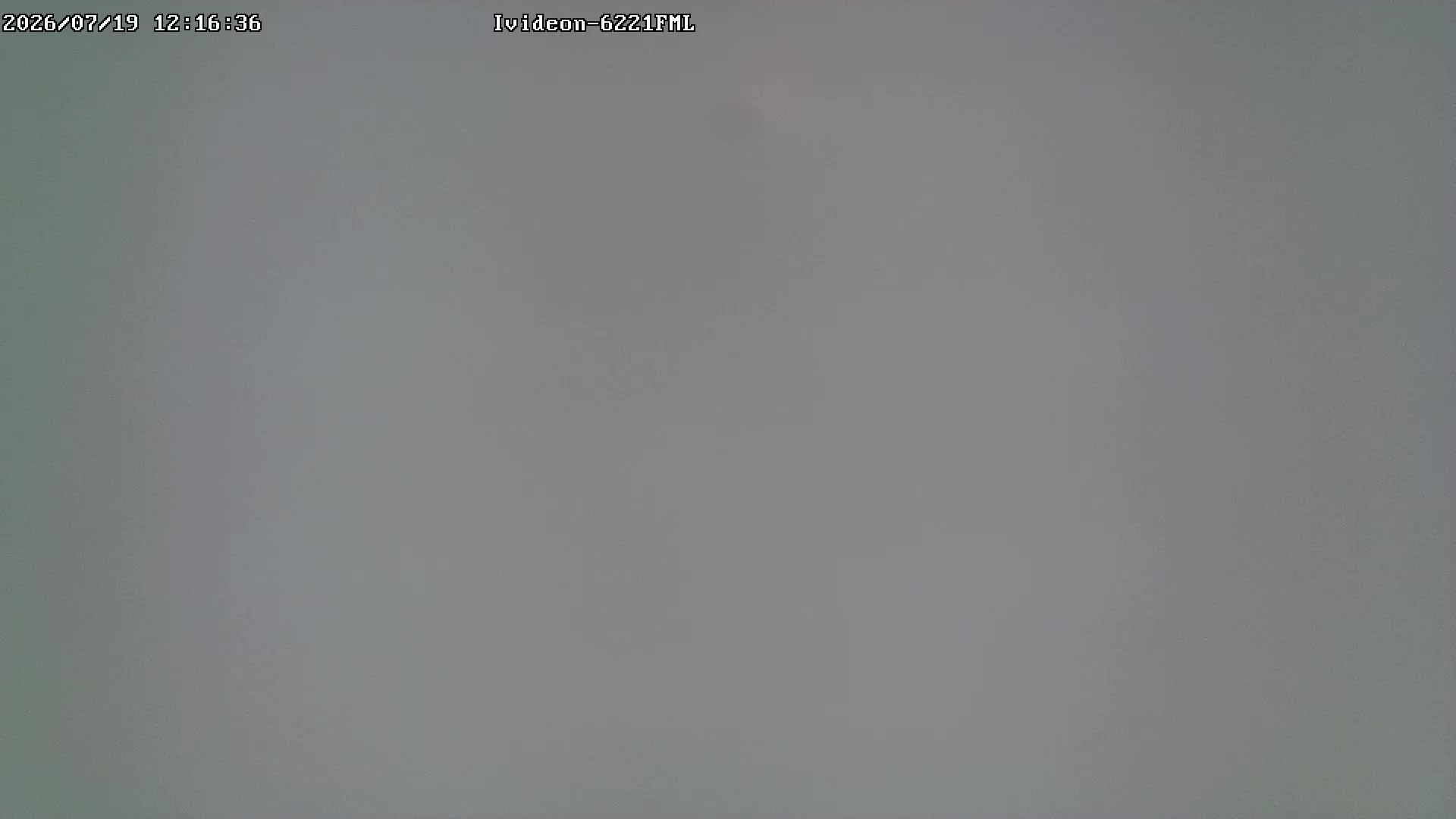 LIVE: channel43489494 смотреть онлайн