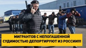 МИГРАНТОВ С НЕПОГАШЕННОЙ СУДИМОСТЬЮ ДЕПОРТИРУЮТ ИЗ РОССИИ!!!