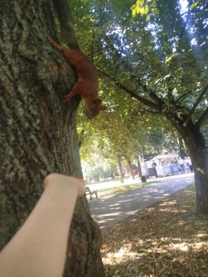 ждите😘