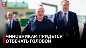 Лукашенко поставил задачи перед регионами | В Беларуси ответили на страшилки о «нашествии узбеков»