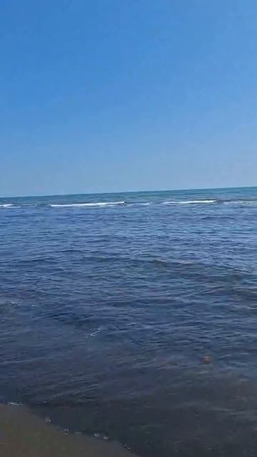 Море, Каспийское море.