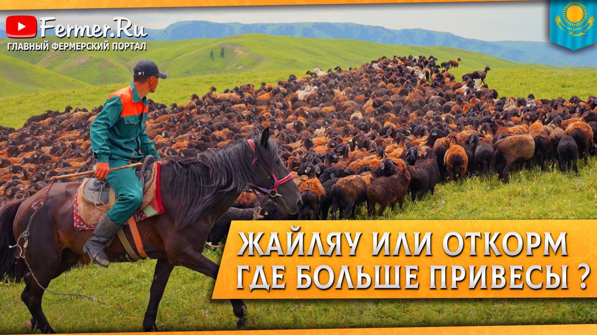 🐑Фермеры у Бауржана Оспанова. Овцы на жайляу после перегона. Взвешивание овец. Сакский курган. смотреть онлайн