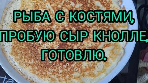 Небольшой влог. Интересный сыр. Готовлю. Рыба с костями.