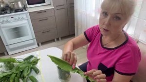 Заготовки на зиму// засолка огурцов//