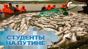 Тысячи студентов отправятся добывать рыбу: зачем молодежь едет на путину?