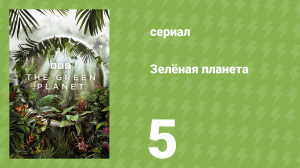 Зелёная планета 5 серия «Миры человека» (документальный сериал, 2022)
