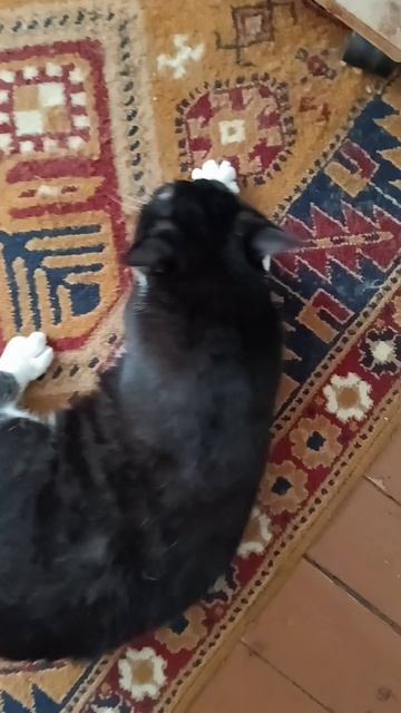 😄 смотреть онлайн