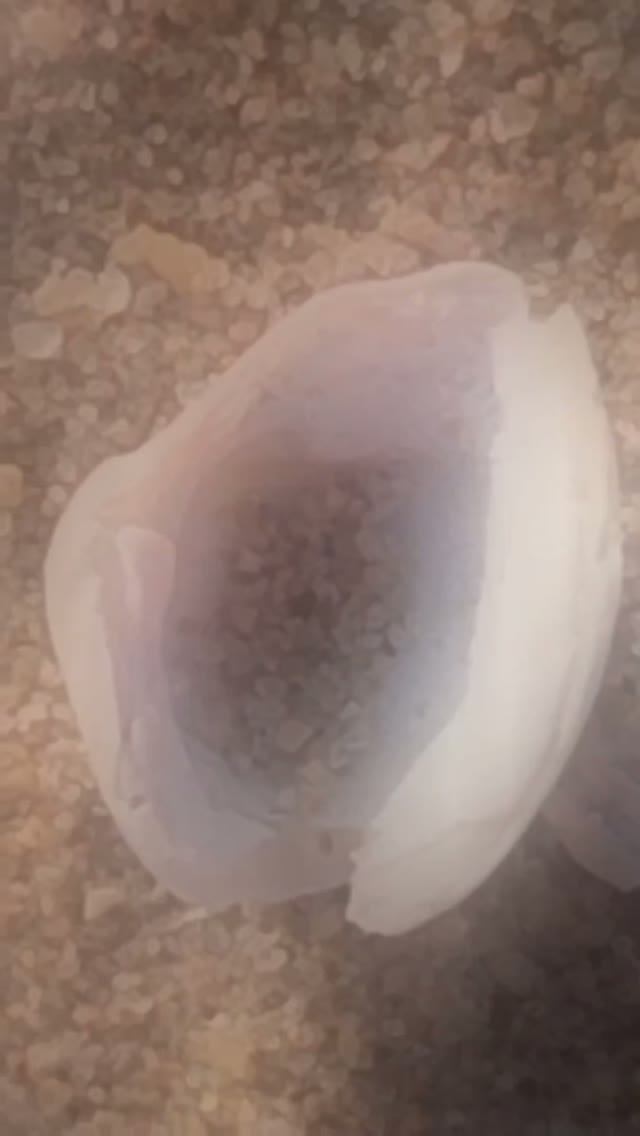 просто жёлтая яркость ч.1 ракушки, песочные узоры