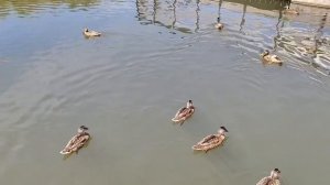 1000004410.mp4