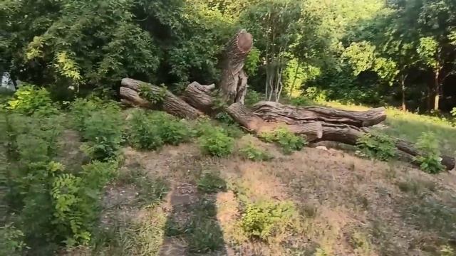 23-25 июня 2024г.Мой дом.Приехали гости.Три дня отдыха. смотреть онлайн