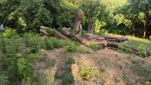 23-25 июня 2024г.Мой дом.Приехали гости.Три дня отдыха.