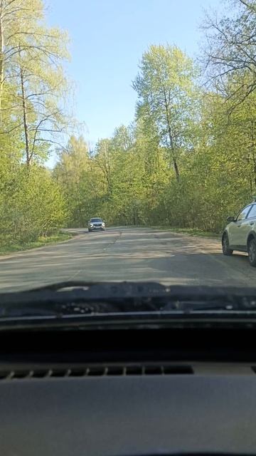 Дорога через лес