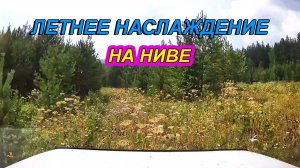ЛЕТНЕЕ НАСЛАЖДЕНИЕ💥  НА НИВЕ ПО ЖИВОПИСНЫМ ЛЕСНЫМ ПОЛЯМ!