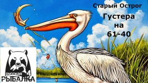 РР4 Густера 61 - 40. Старый Острог.