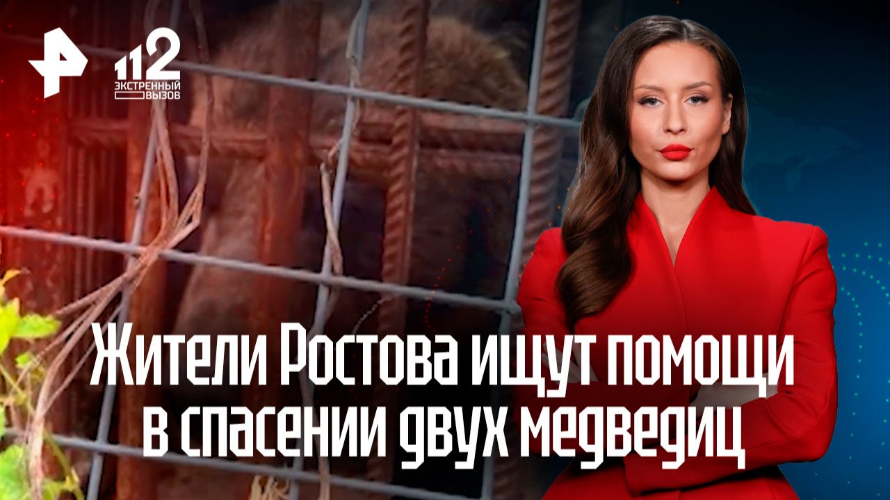 Неравнодушные жители Ростова-на-Дону просят помощи в спасении двух медведиц смотреть онлайн