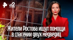 Неравнодушные жители Ростова-на-Дону просят помощи в спасении двух медведиц