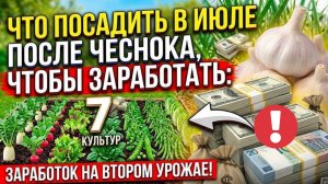 Что посадить после чеснока а ИЮЛЕ, чтобы заработать: 7 культур