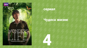 Чудеса жизни 4 серия «Размер имеет значение» (документальный сериал, 2013)