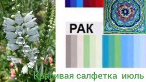 МандАла Рак Красивая салфетка Бабушка вяжет тряпки