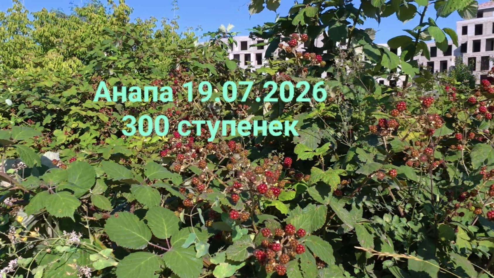 Анапа 19.07.2026 300 ступенек смотреть онлайн