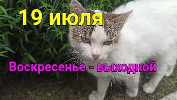 Заправить автомобиль не удалось