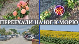 КАК У НАС ОБСТАНОВКА, СОБИРАЮ УРОЖАЙ, ПЕРЕЕХАЛИ НА ЮГ К МОРЮ