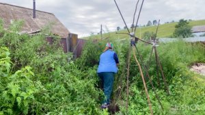 Кольнуло спину, чуть сознание не потеряла