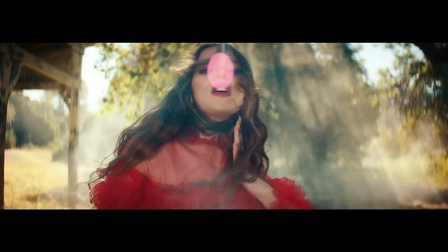 Hailee Steinfeld - Afterlife