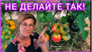 Проблемы в теплице. Помидоры, огурцы и перец🌶 🧐
