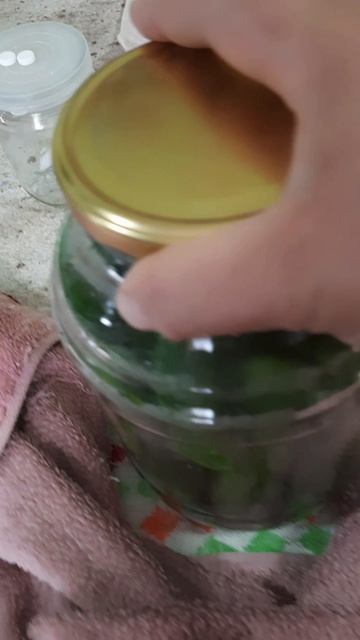 заготовки на зиму