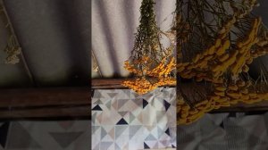 Ручная работа✅ 
Чай✅ 
Мазь✅ 
Масла✅ 
Парфюмерия ✅